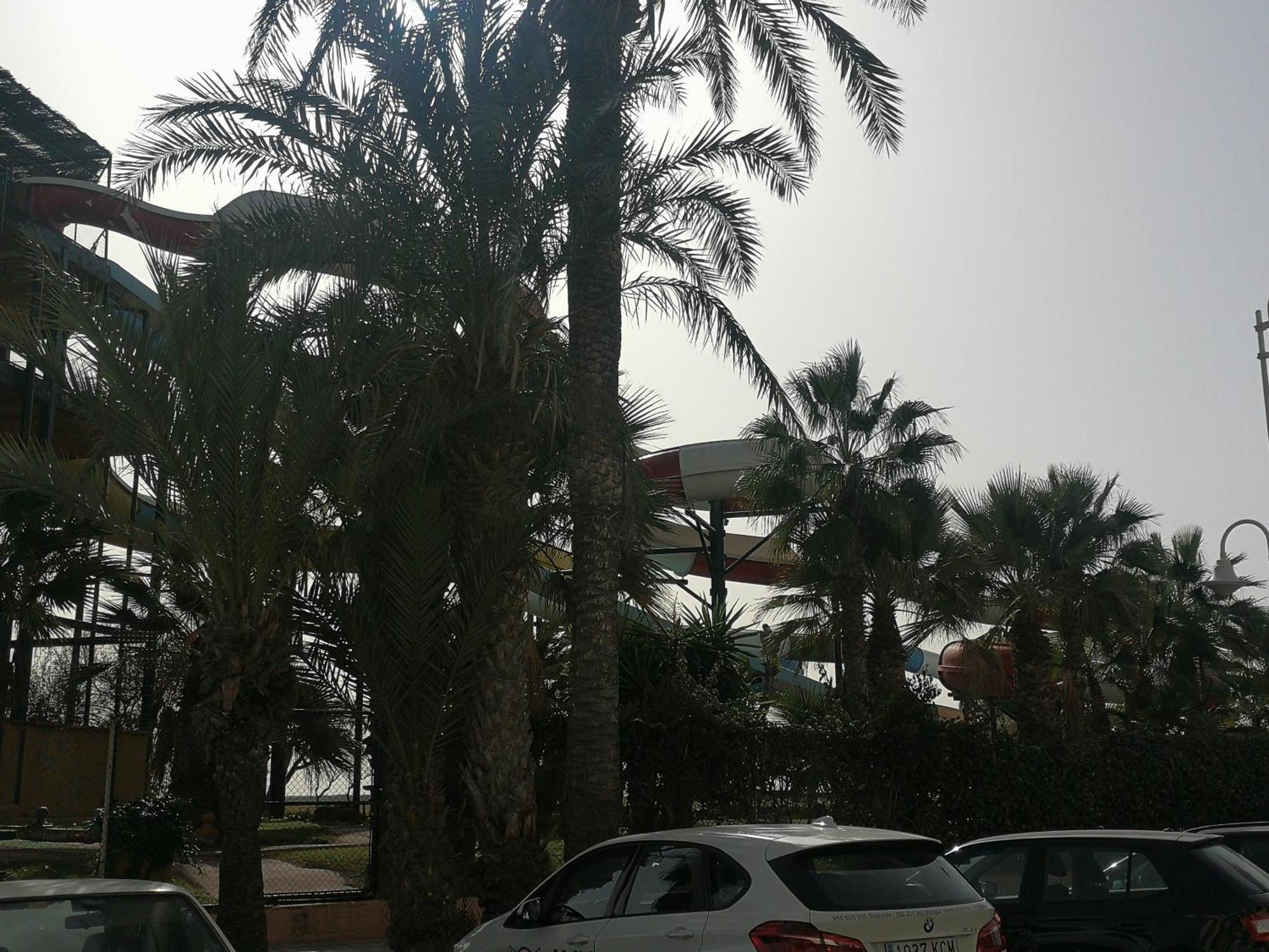 Apartamento Playa Velilla Park II Almuñécar Eksteriør bilde